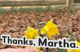 Thanks, Martha Sticker